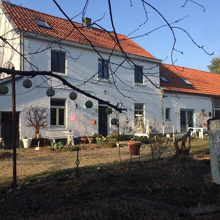 Slaaphuisje Het Vliegend Varken Genk Ngoại thất bức ảnh