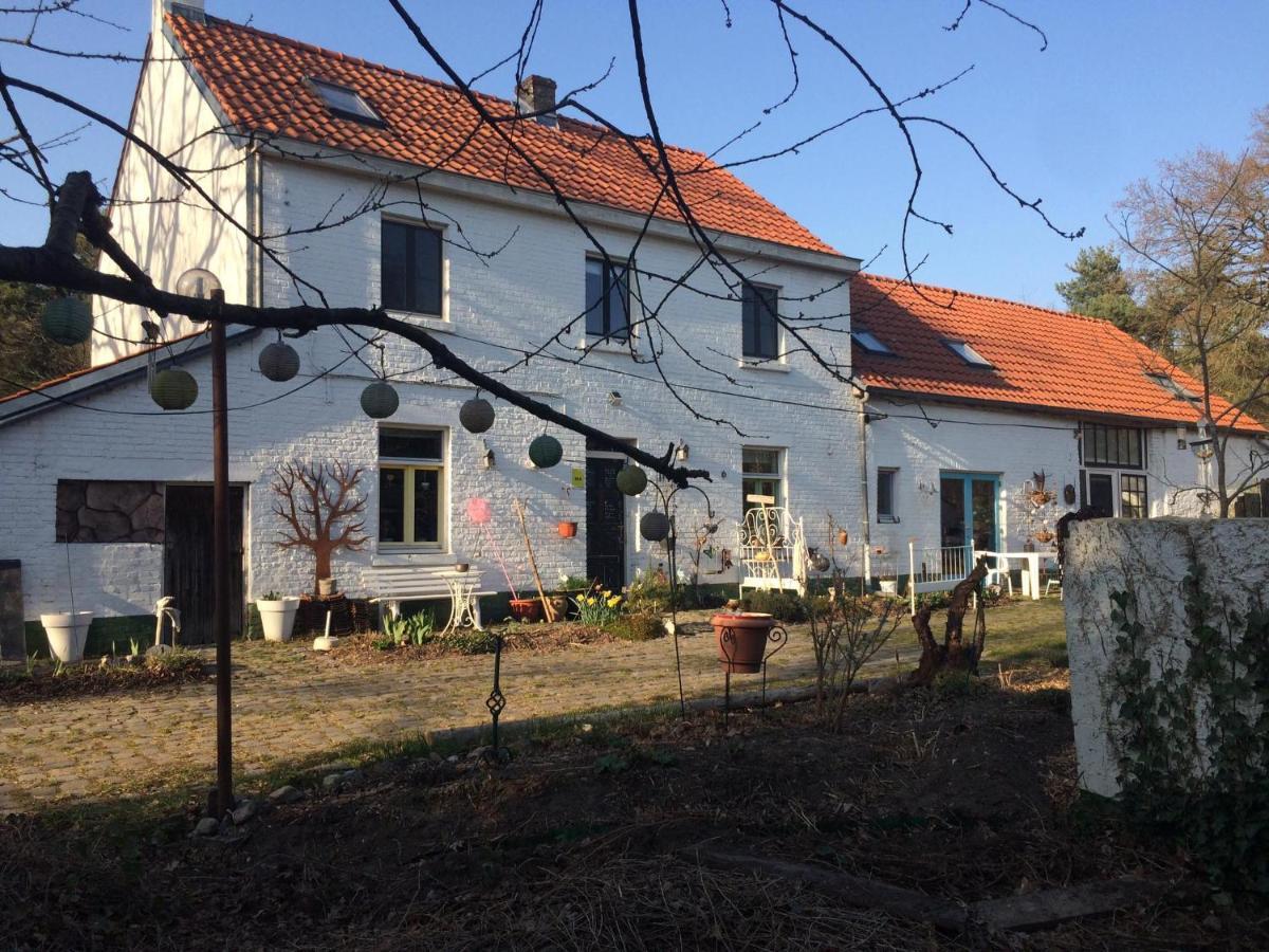 Slaaphuisje Het Vliegend Varken Genk Ngoại thất bức ảnh